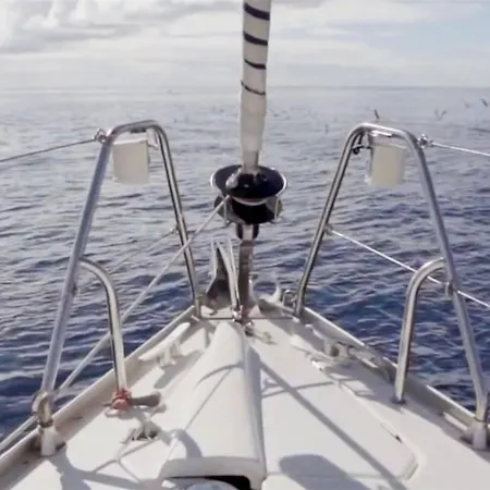 Charming Boat In With Sea View * Funchal (Madeira)